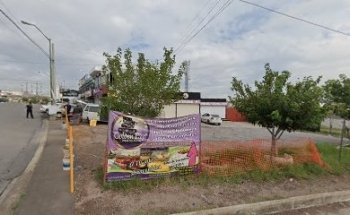 DANZARTE & MOVIMIENTO