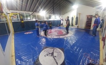 Club lions MMA