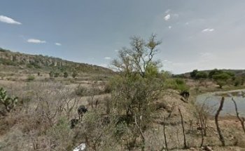 Cancha Deportiva La Palma