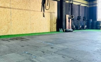 Seal crosstraining cabo