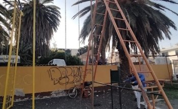 Barras Cocodrilo