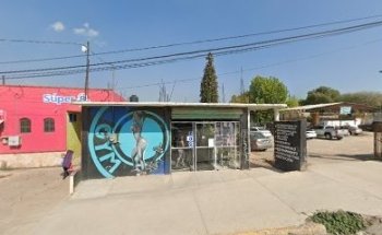 COLOSSUS GYM