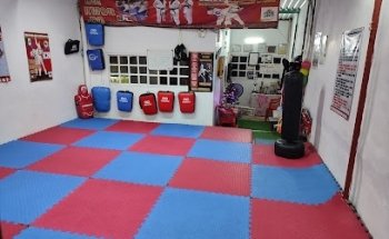 Academia de taekwondo GUEPARDOS escuelas lara