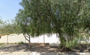 CLUB DE VOLEIBOL FÉNIX SB.