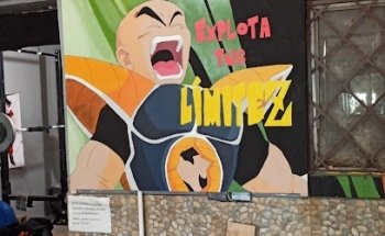 Zenkai Gym