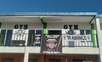 Angel Gym Fitness Club