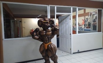MR GYM TEXCOCO