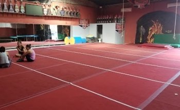 Fit Fénix