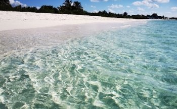 Lotus Room, Pilates Reformer