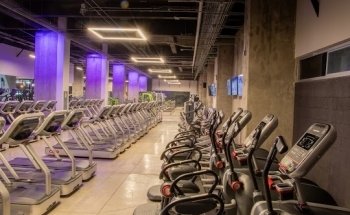 Fitsi Condesa