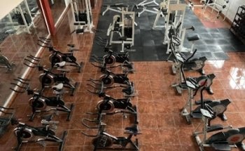 Hammer Gym