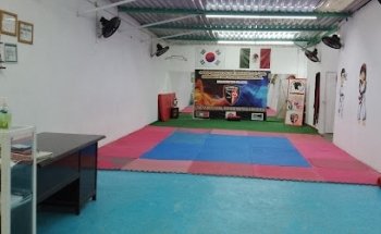 Academia de taekwondo panteras.