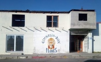 Gimnasio de box tigre flores