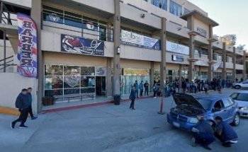 MDK Flamingos Tijuana