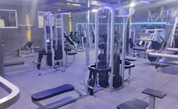Workout System Gym