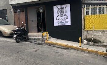 Lynces cross training