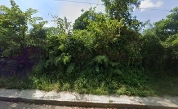 Unidad Deportiva Municipal Doctor Domingo Canales Diaz