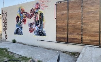 Gym de Boxeo Ludus Magnus