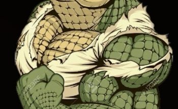 GYM CROC, Centro, 68430 Temascal, Oax.