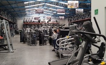 Aparatos de Gimnasio Importados Monterrey