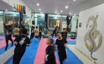 Kung fu El Dragon