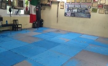 LIMA LAMA TIGRE BLANCO LM GASTELUM FIGHT CLUB