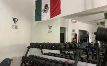 JUNGLE GYM