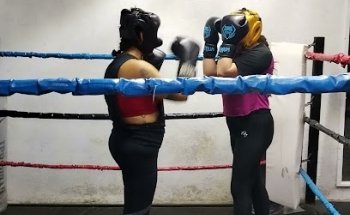 ERG BOXING CLUB