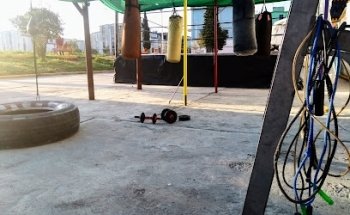 Box ídolos del barrio