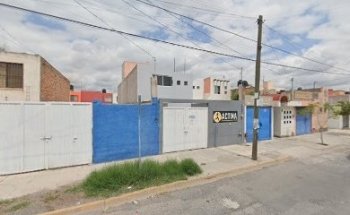 Actina Acondicionamiento Fisico