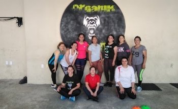 Organik Team