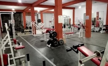 Gimnasio alfa gym