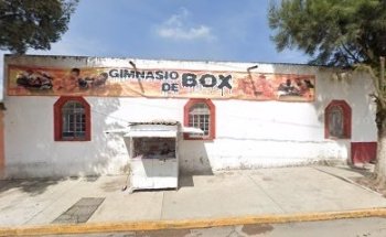 Gimnasio De Box