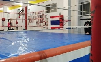 Torrestra Gym