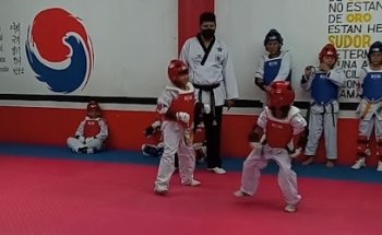 Tkd Panamericano Little Champions