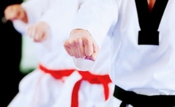 TORII TAEKWONDO KICK BOXING FULL CONTACT