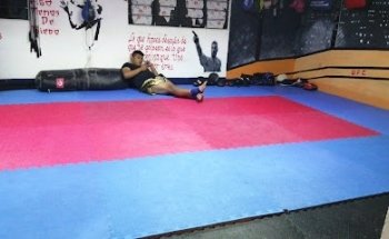 Venenos MMA GYM
