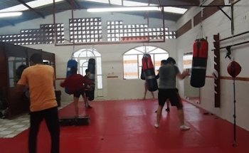 Warrior's Gym