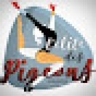 L'ÉLITE DES PIGEONS GYMNASTIQUE