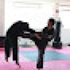 KENPO TRAINING SYSTEM'S