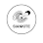 Sian Kite | Kitesurfing & Surf lessons Tulum