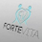 Forte Vita Dance Center