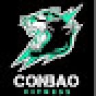 Conbao Fitness