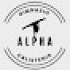 Alpha gimnasio de calistenia