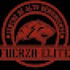 Fuerza Élite Metepec