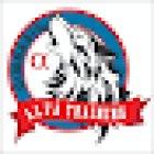 Gym Alfa Training Center