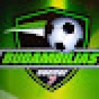 Bugambilias soccer 7vs7