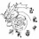 Kung fu Metepec casa Yu long