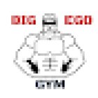 BIG EGO GYM