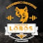 ACADEMIA LOBOS ACONDICIONAMIENTO FISICO Y TAEKWONDO